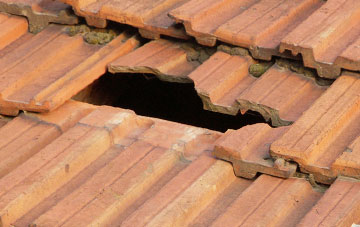 roof repair Pentre Llifior, Powys