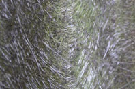 Pentre Llifior fibreglass roof work